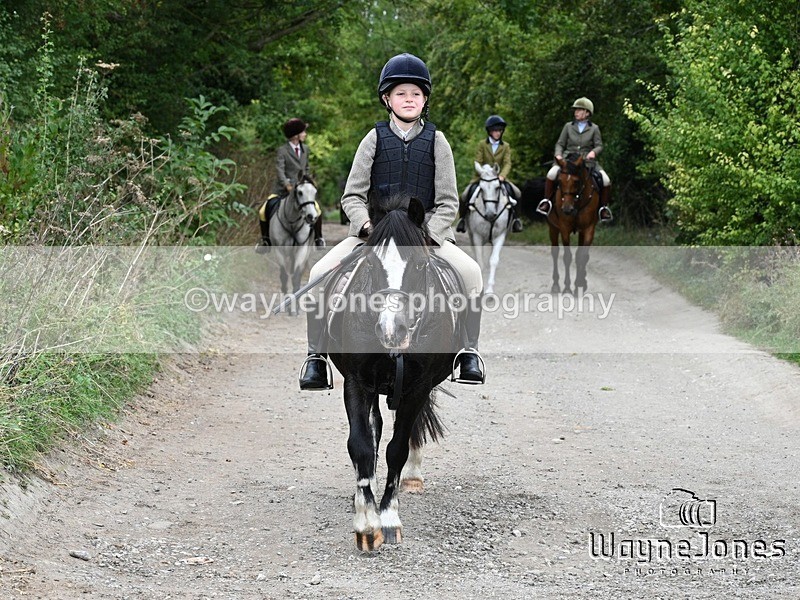 WJ7_0927 - Berks & Bucks Hound Exercise Blewbury 13-09-26