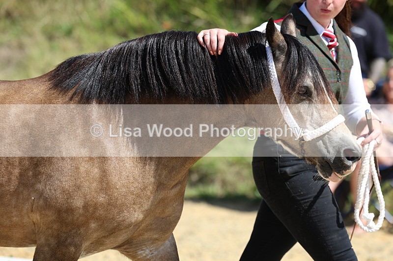 3E7A9536 - Class 32: Best Grass Kept