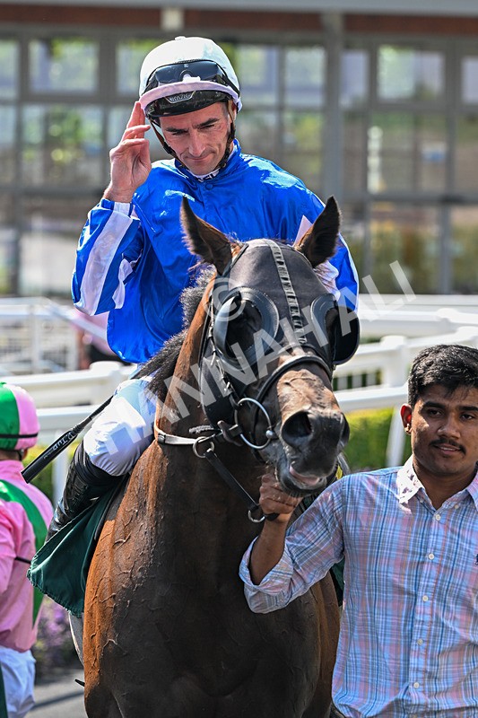 150726-Race 2-South West-3068 - Race 2 14.40pm EBF Restricted Novice Stakes