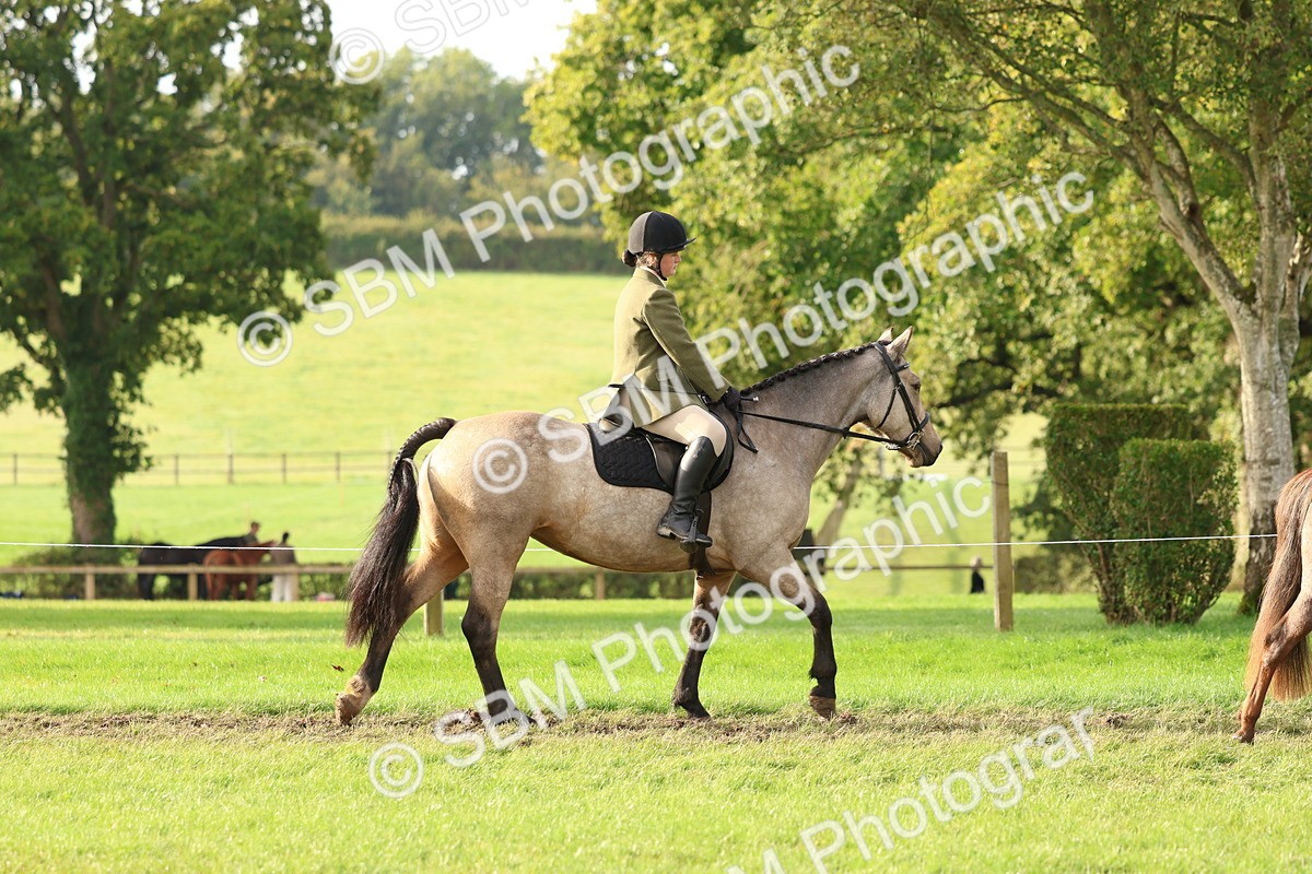 SBM_56536 - S40 - Starters Ridden Showing