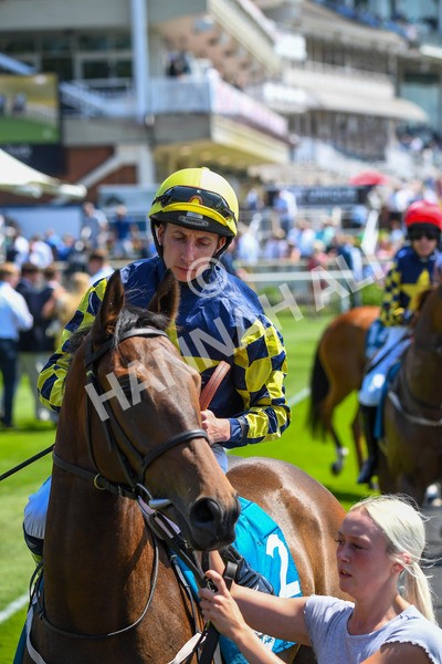 160623-Race 2-Celestial Flight-0250 - Race 2 2.25pm SKF Rous Selling Stakes