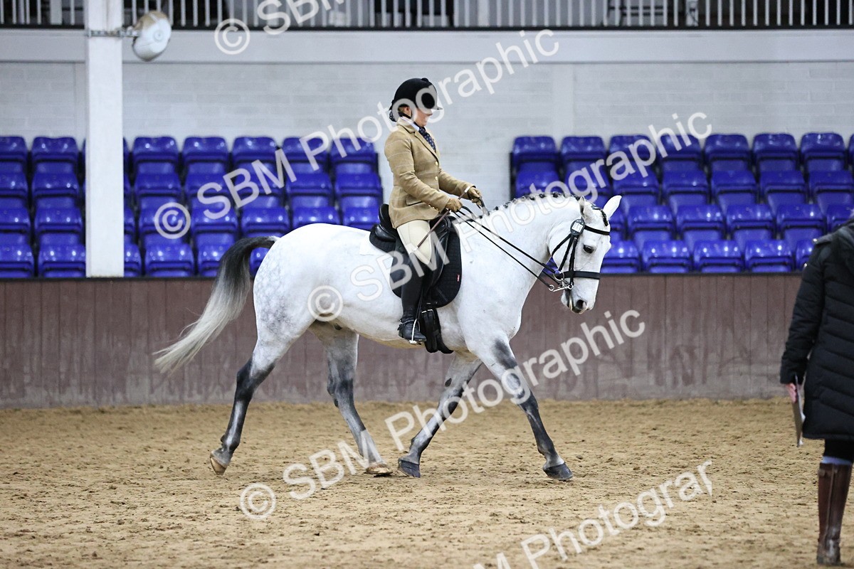 SBM_6356 - Class 45-42 - Ridden Irish Breeds-Ridden Cob