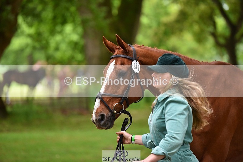 240522-171014-01434 - 251-MILESTONE_GOLD-Gaby_Bull