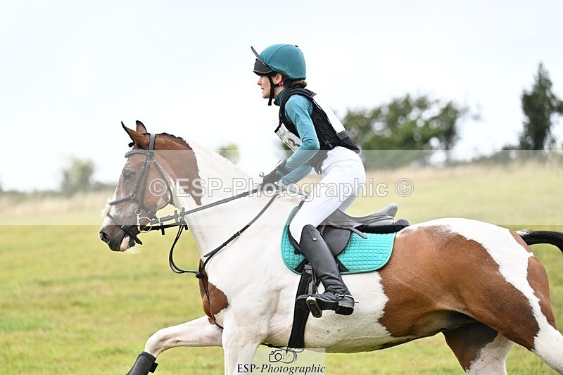 TS_b1870080 - SAT BE 90 Recovered Files fence 8