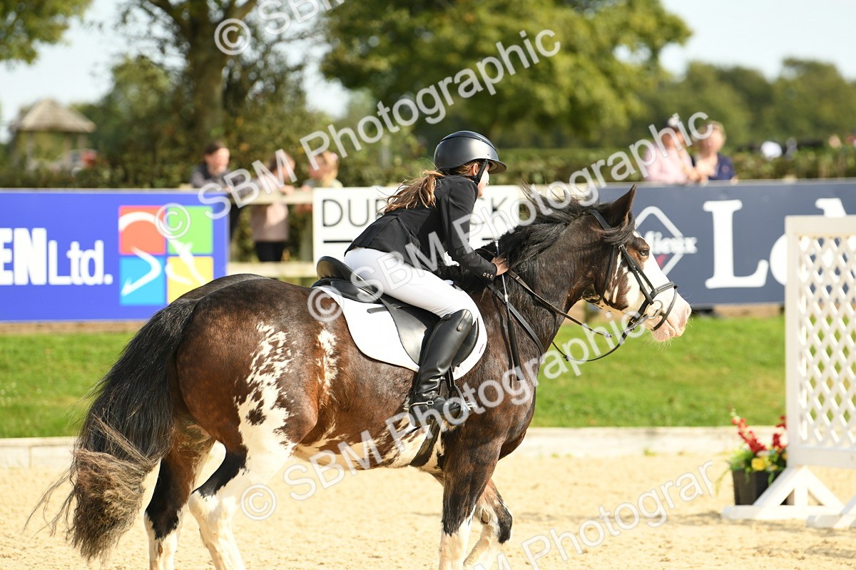 SBM_69296 - J15 - Junior Pony 70cm Championship