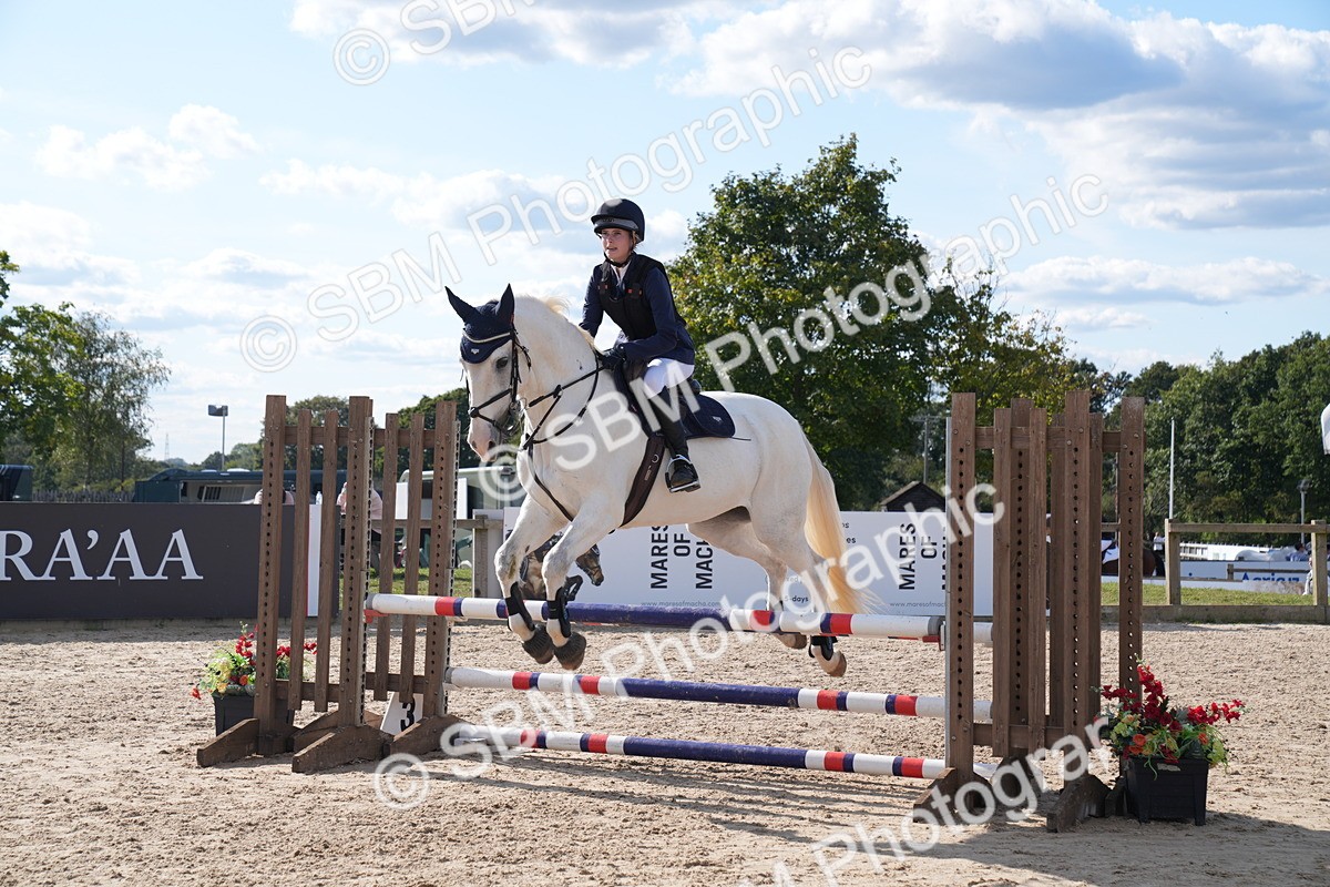 SBM_26038 - J61 - Clear Round 75cm & 85cm