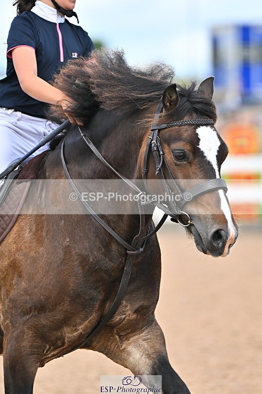 240723A-165014-00268 - 70cm