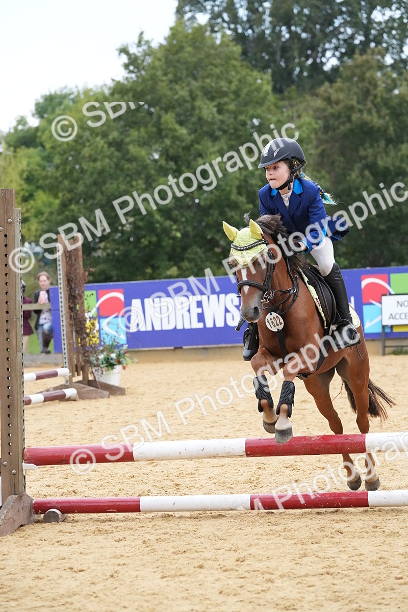SBM_74529 - J4 - Mini Tour Junior Pony 45cm Championship