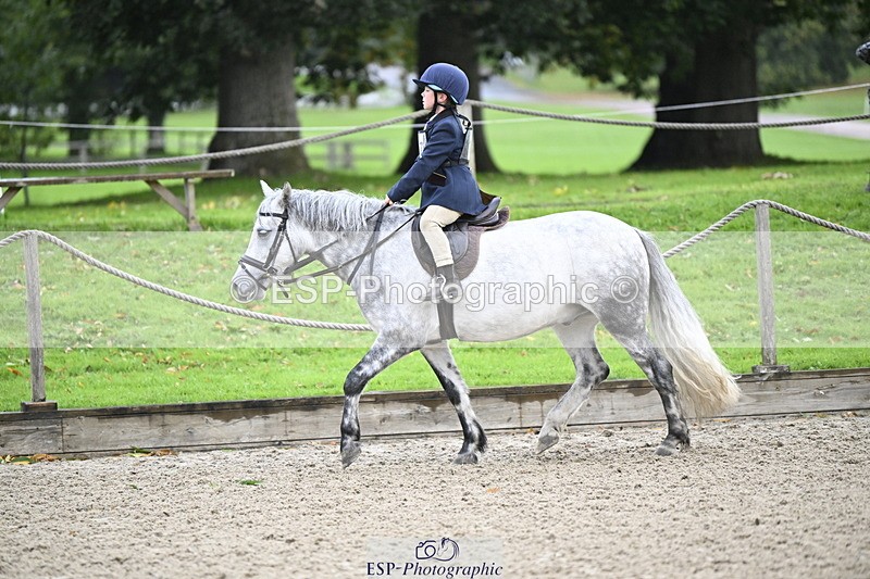 251005A-084840-02851 - Cls 02 GR 50cm