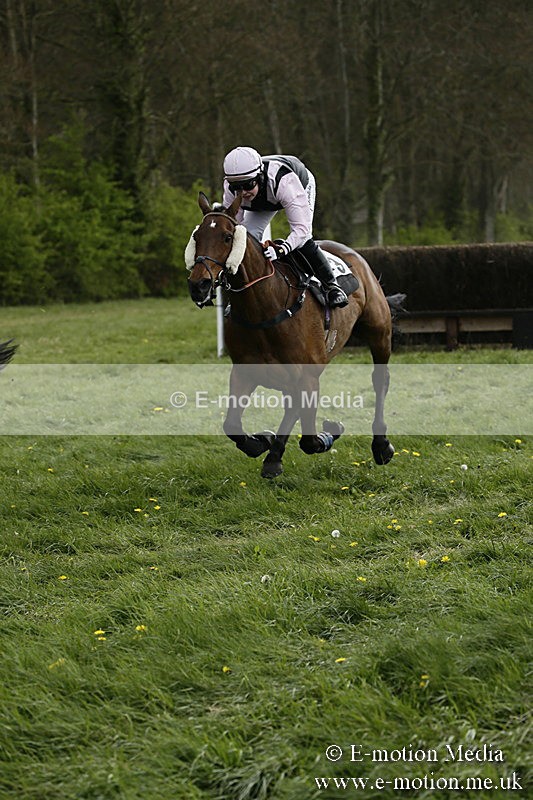 PtP 170417 179 - Old Berks Point-to-Point Lockinge 17/04/17