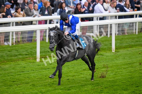 190523-Race 5-Mostabshir-0651 - Race 5 4.10pm Darley Novice Stakes