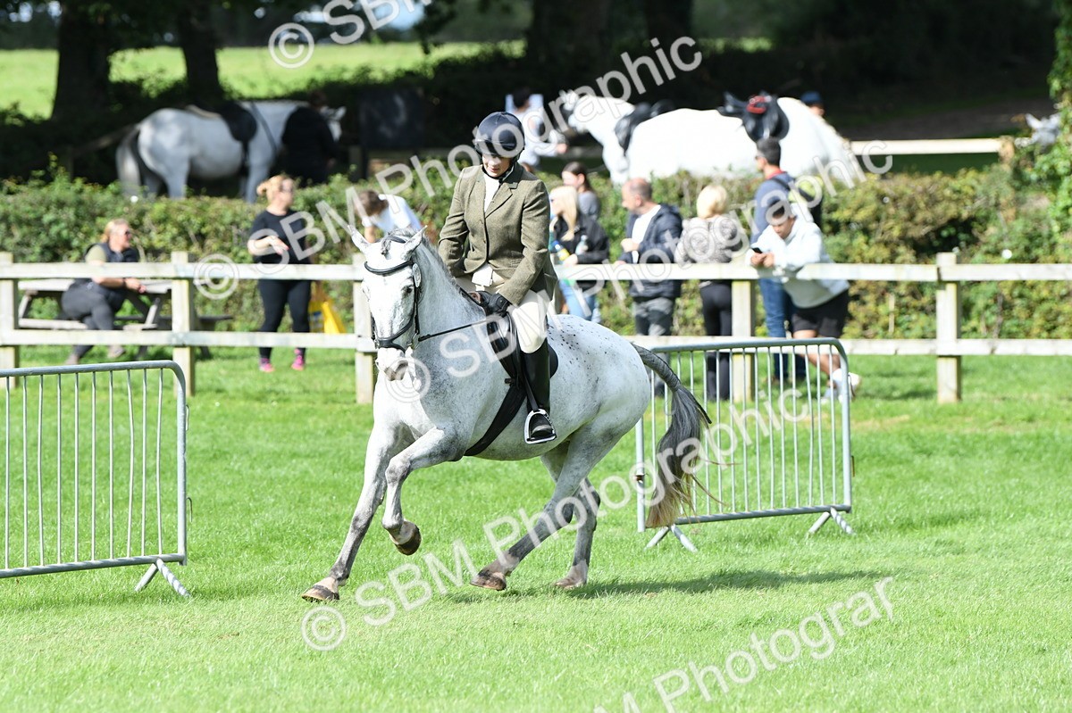 SBM_46896 - S12 - Family Horse & Pony