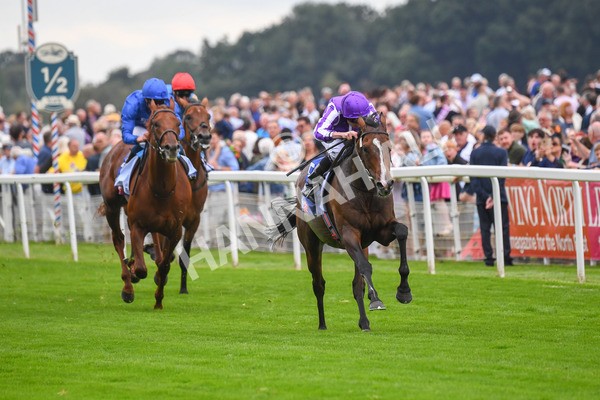 230823-Race 3-Continuous-0448 - Race 3 3.00pm Sky Bet Great Voltigeur Stakes
