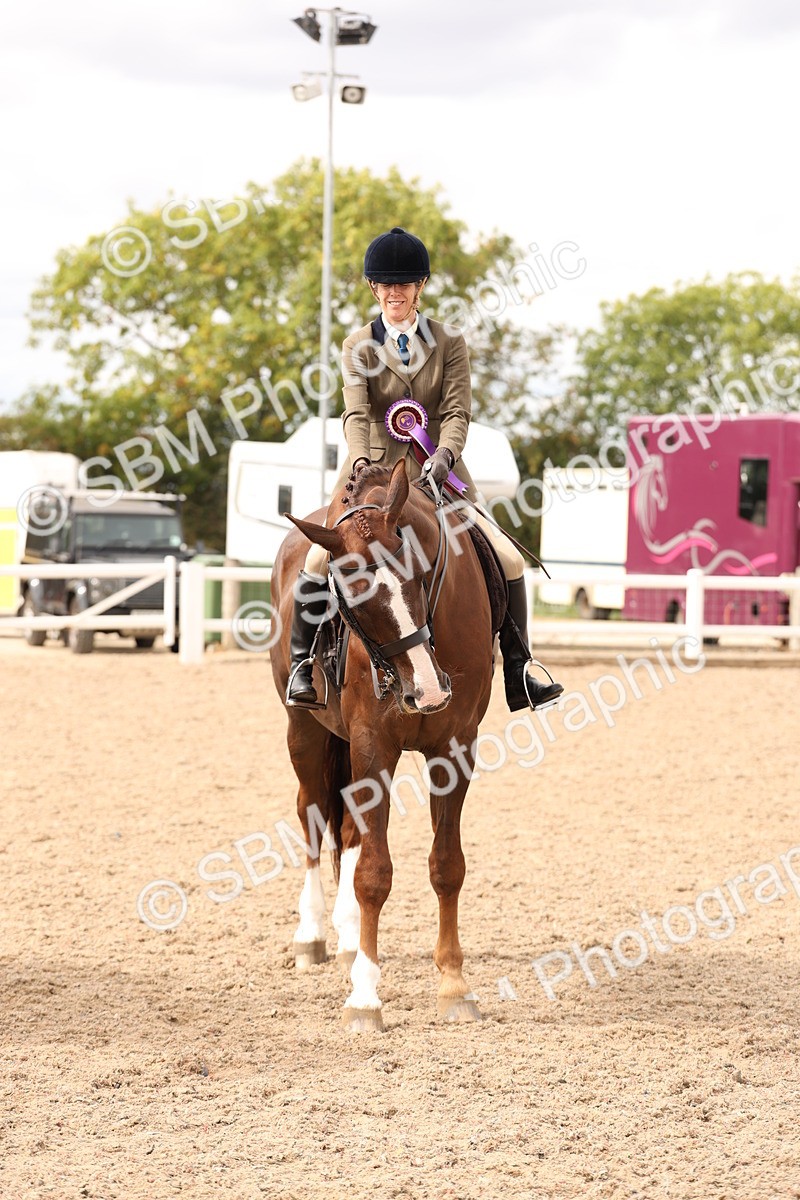 SBM_17283 - Class 213 - Ridden Hunter - Large