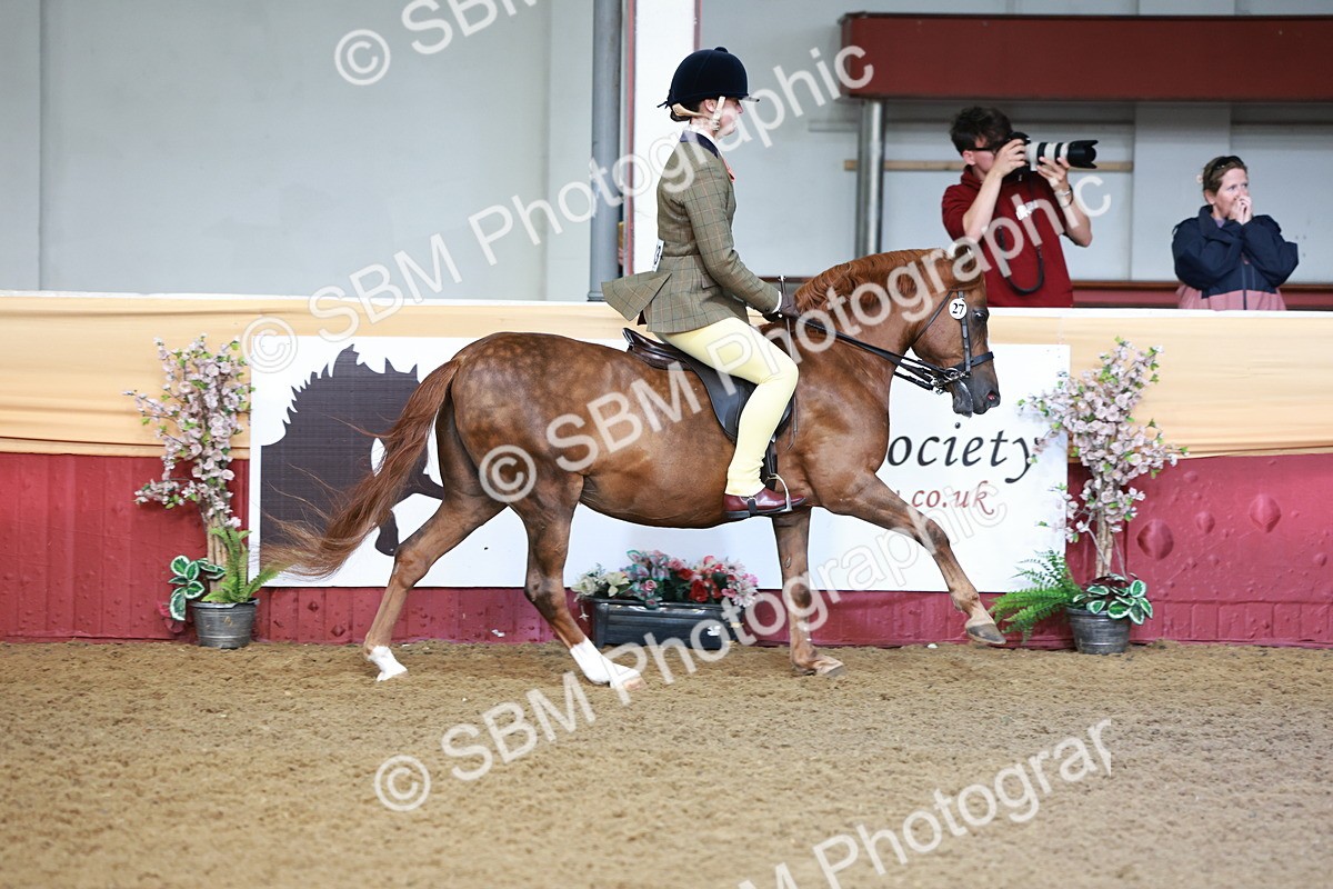 SBM_11827 - Class 102 - Equitation (Best Rider) Adult