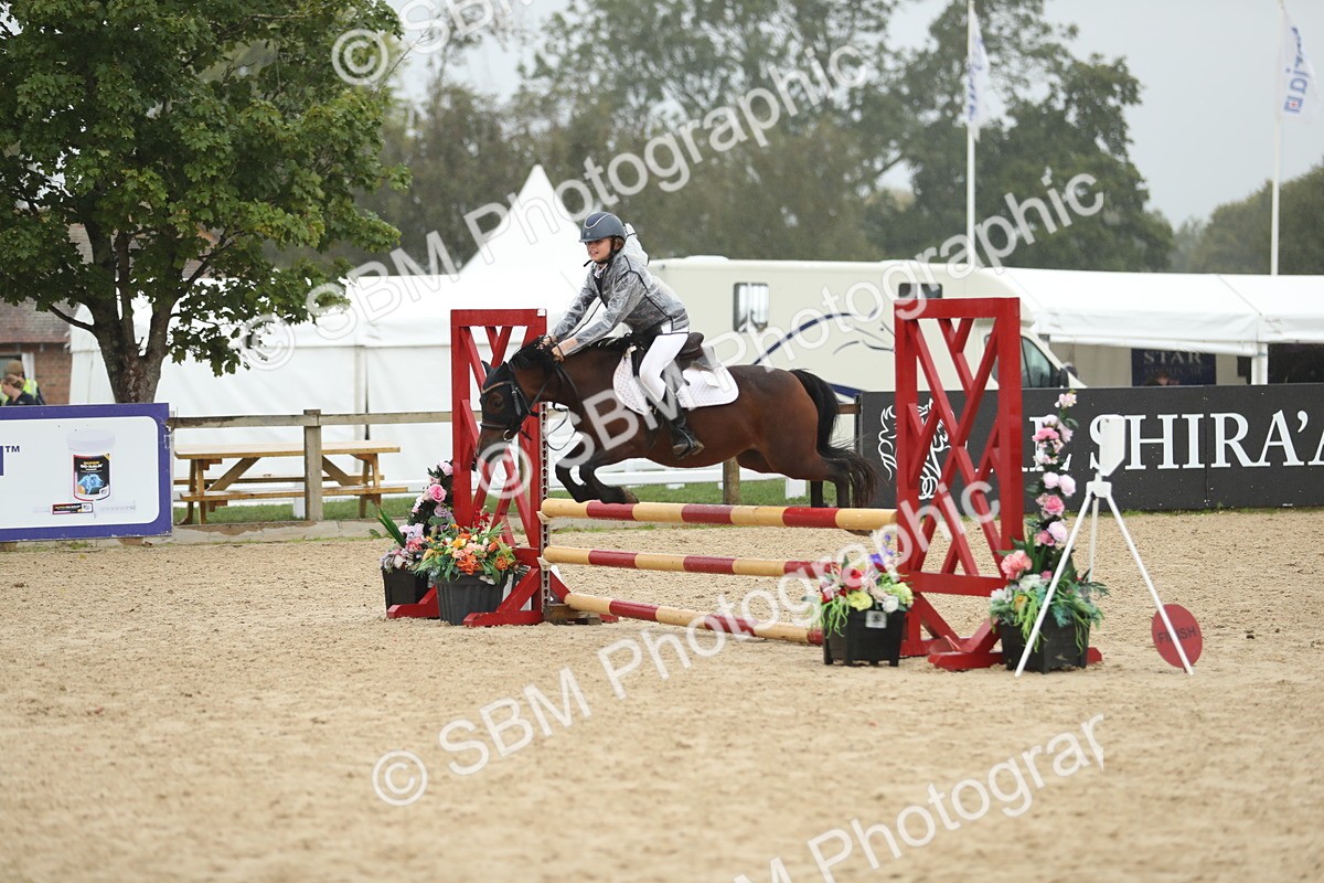 SBM_74050 - J16 - Junior Pony 75cm Championship