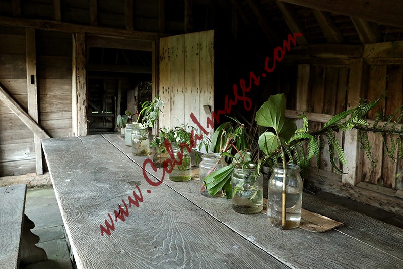 20 - Great Dixter, early November 2020