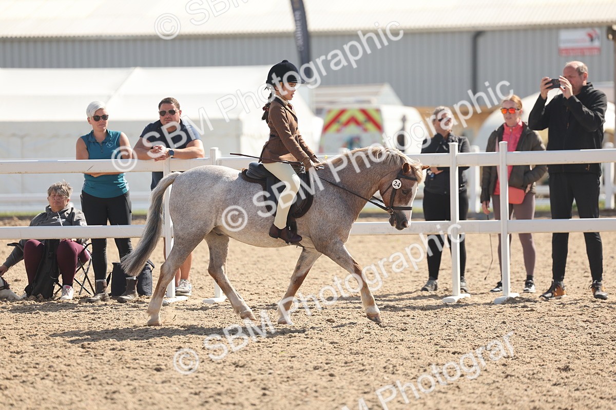 SBM_23115 - Class 806 - Young Rider 10ry and Under