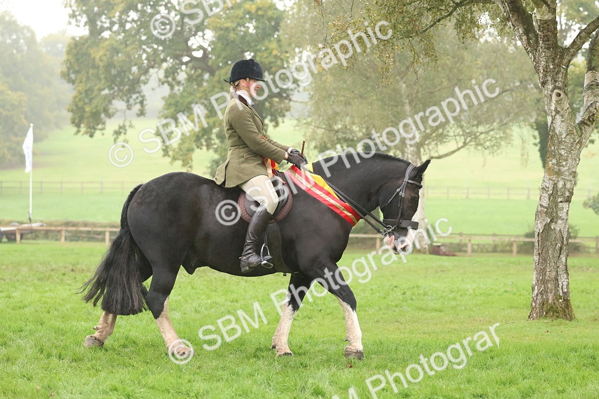 SBM_73185 - Super Supreme Championship(Sun)