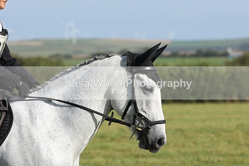 JPP_8057 - Class 2A: Trekenning Open: Dressage