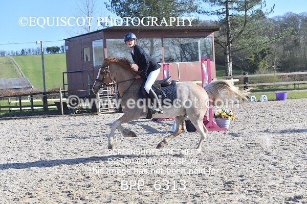 BPP_6313 - CLASS 9 SAT Pony Discovery / 90cm Open