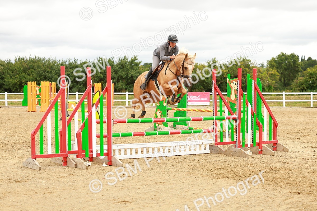 SBM_001962 - Class 9 - Senior British Novice - 90cm