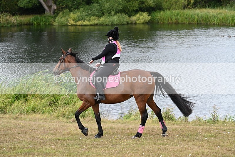 WJ7_6036 - Time 11:50 to 12:09