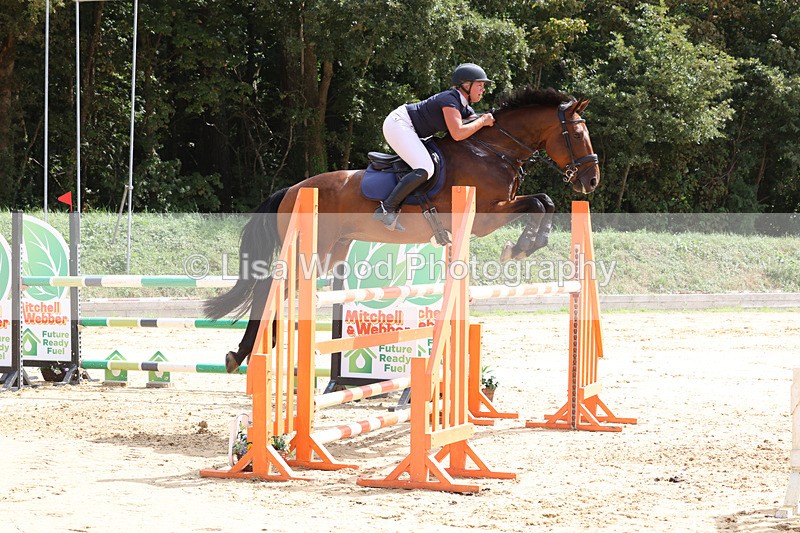 3E7A1937 - Class 9: Senior Foxhunter/1.20 open