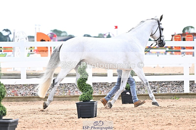240718A-105327-02034 - Trot Up 2pm to 3pm - This folder is not in time order