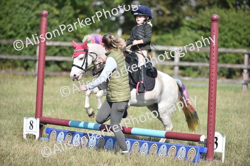 20260906-0973 - Class 7 - Absolute Novice Jumping 35cm