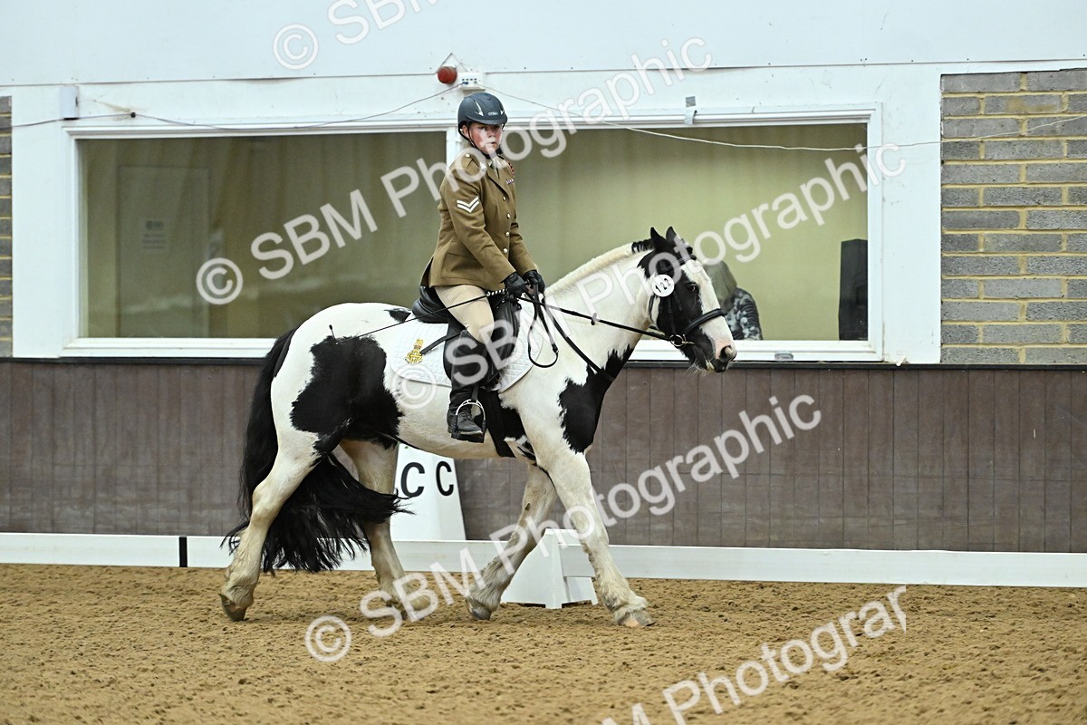 SBM_007388 - Class 81 - Novice 3