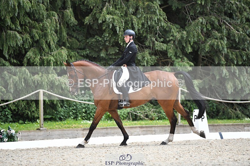 230525-140956-03101 - 318-JUST_HAVE_FAITH_TN-Alfie_Marshall-WEDTrotUp+DR