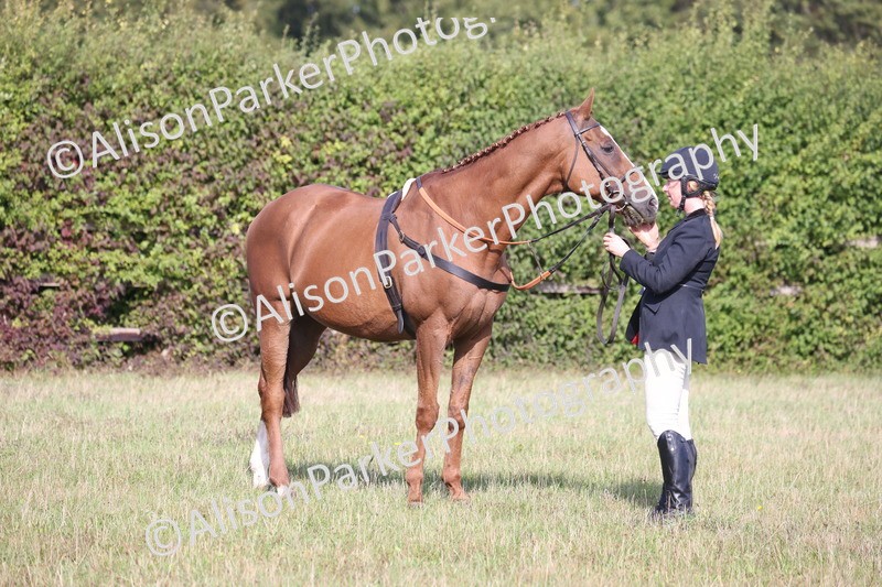 20260906-0684 - Class 22 - Ex Racehorse