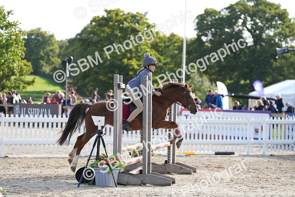 SBM_49440 - J8 - Junior Pony 65cm Championship