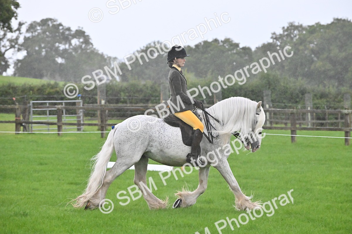 SBM_35658 - S16 - Top Turnout - Ridden