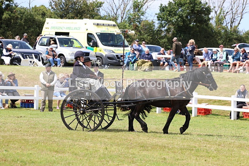 3E7A2663 - Class 12: Open Driving