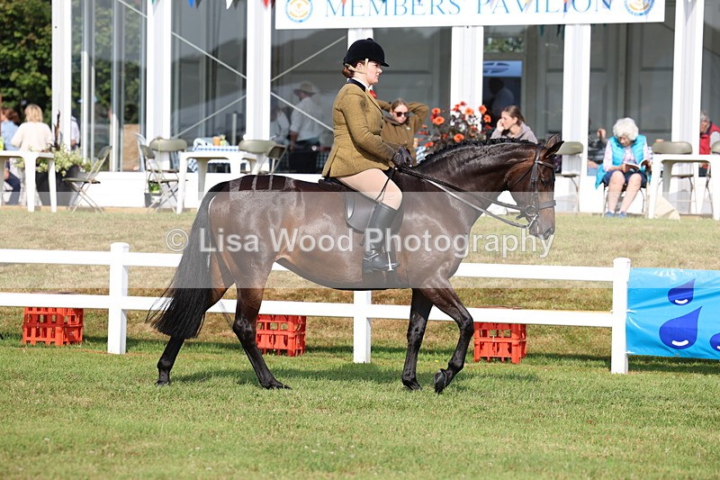 3E7A8453 - Class 3: Rising Star S/L Hunter