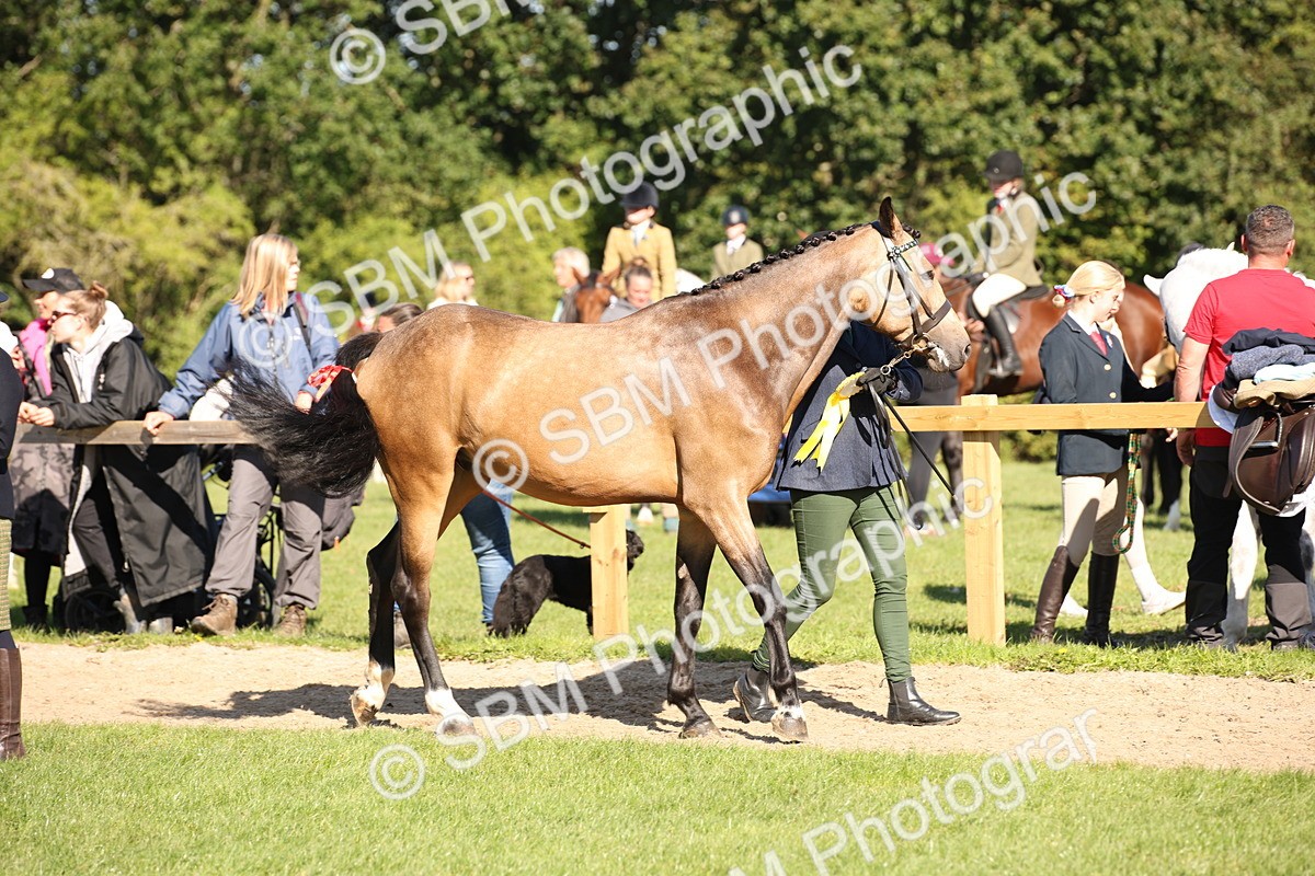 SBM_36659 - S10 - Best In Hand Horse & Pony