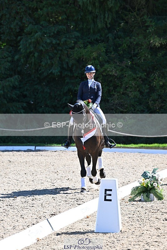 240811-153520-06681 - Adv Medium Gold