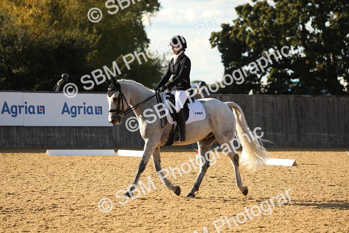 SBM_28605 - D20 - Grand Tour Championship - Elementary 44