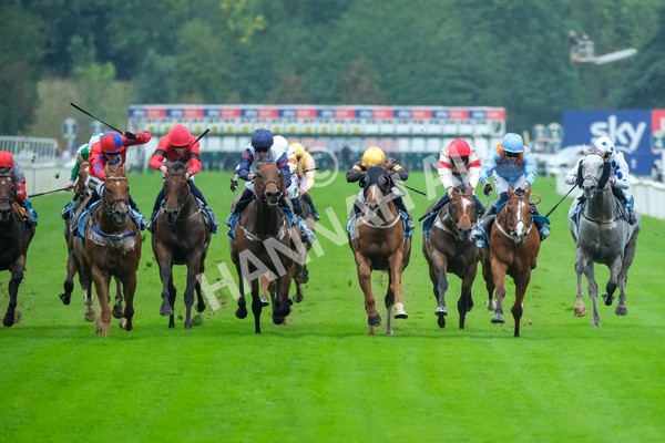 080925-Race 2-Alzahir-7779 - Race 2 3.00pm Sky Bet Super Sub Sprint Handicap