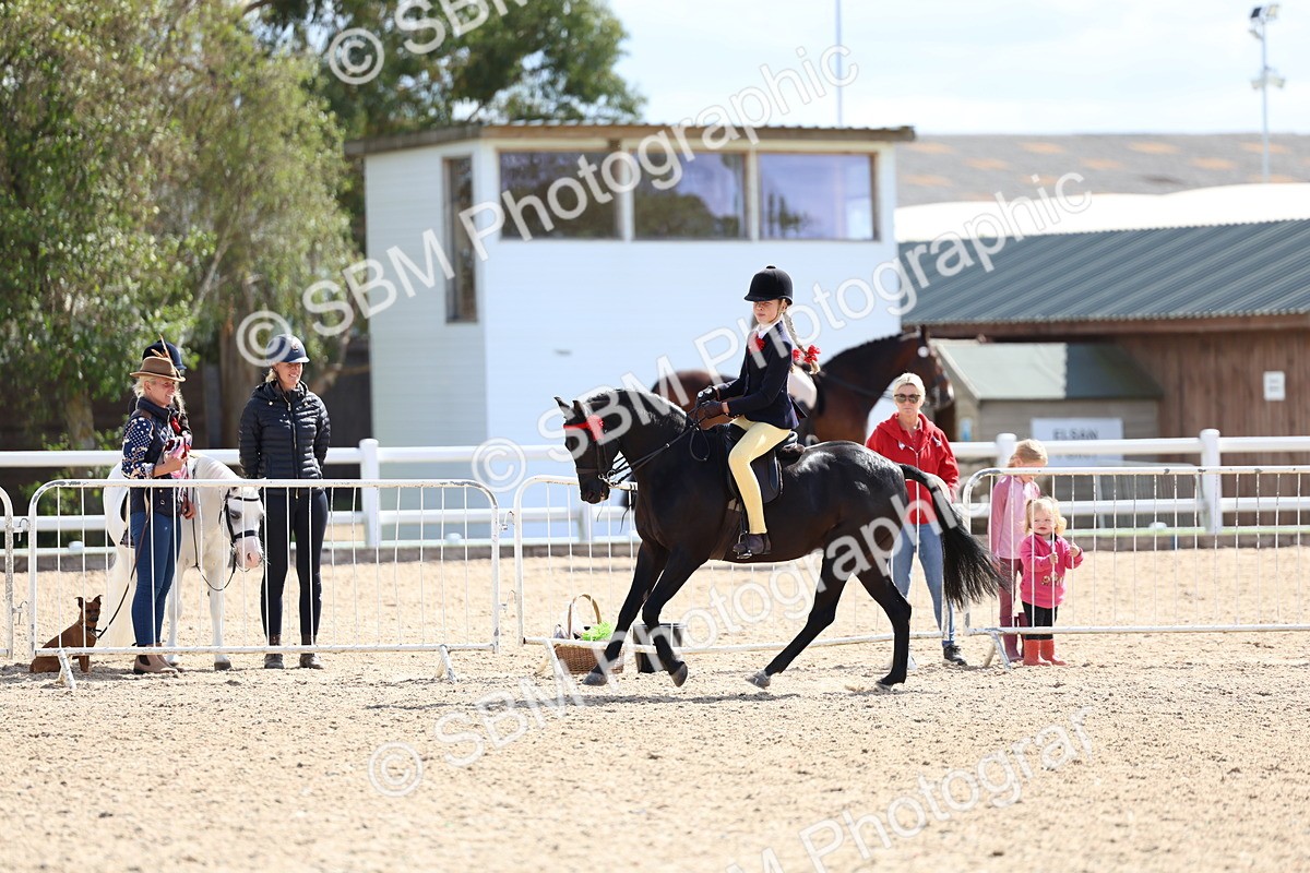 SBM_13315 - Class 311 - Ridden Show Pony Show Hunter Pony