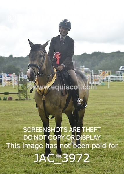 JAC_3972 - 55cm WORKING HUNTER