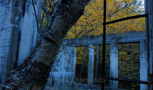  - Fall