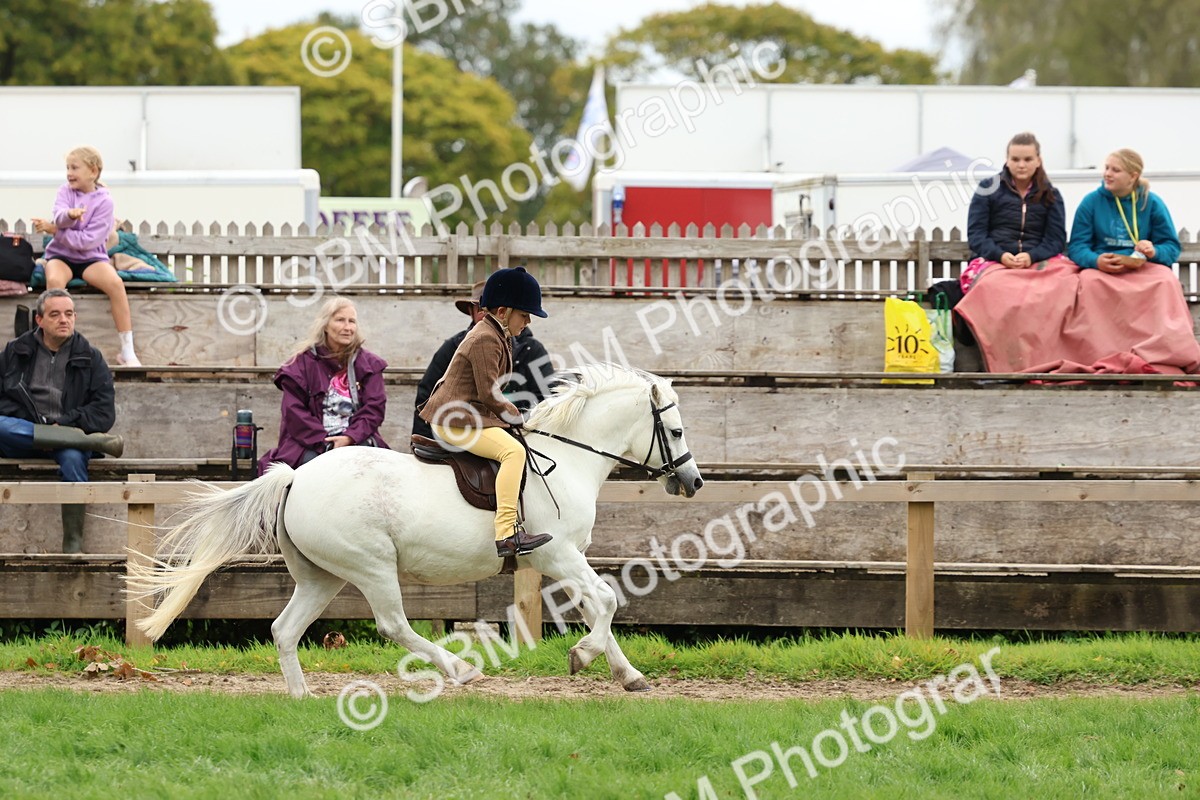 SBM_67440 - S61 - Mountain & Moorland Ridden