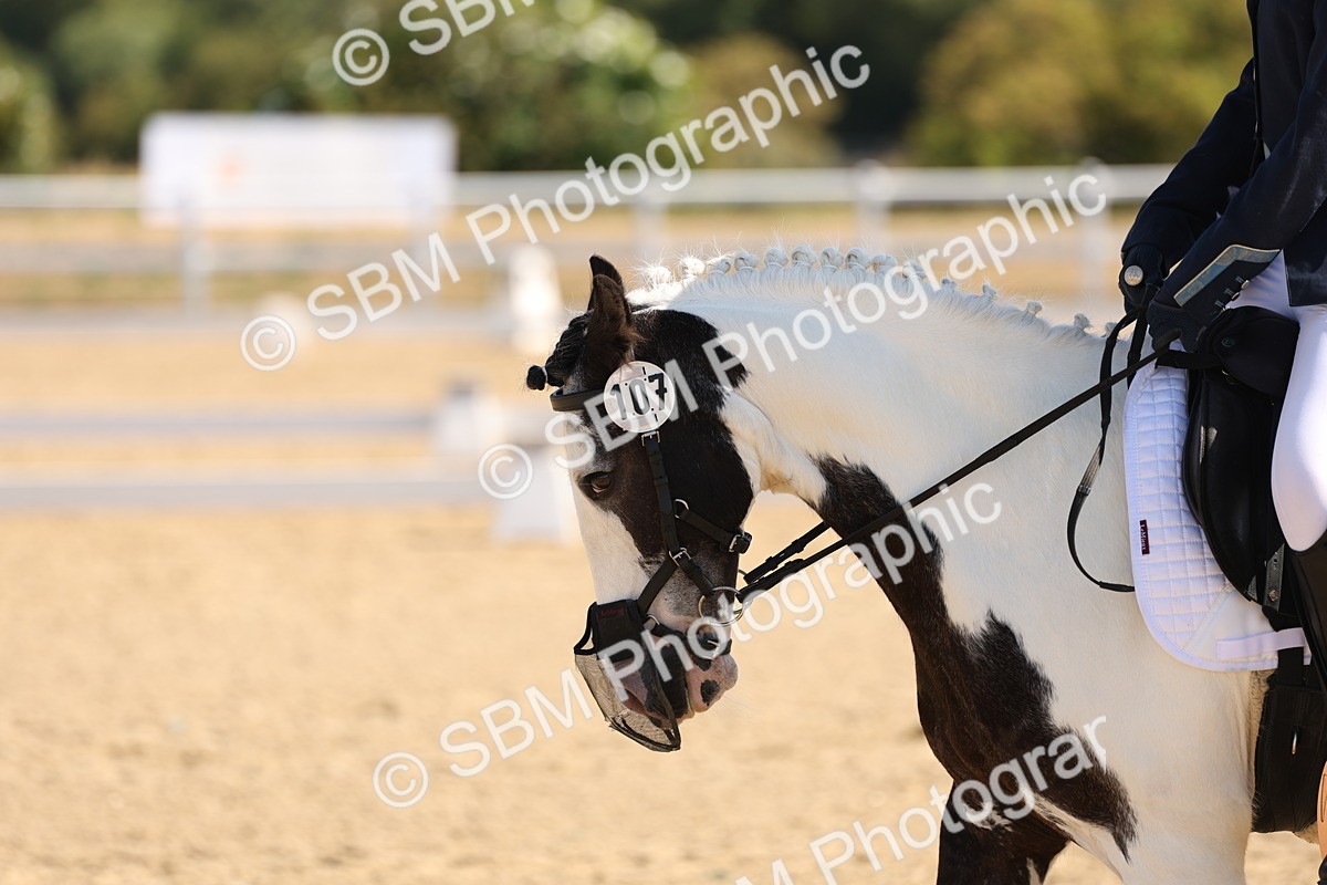 SBM_001032 - Intro 2