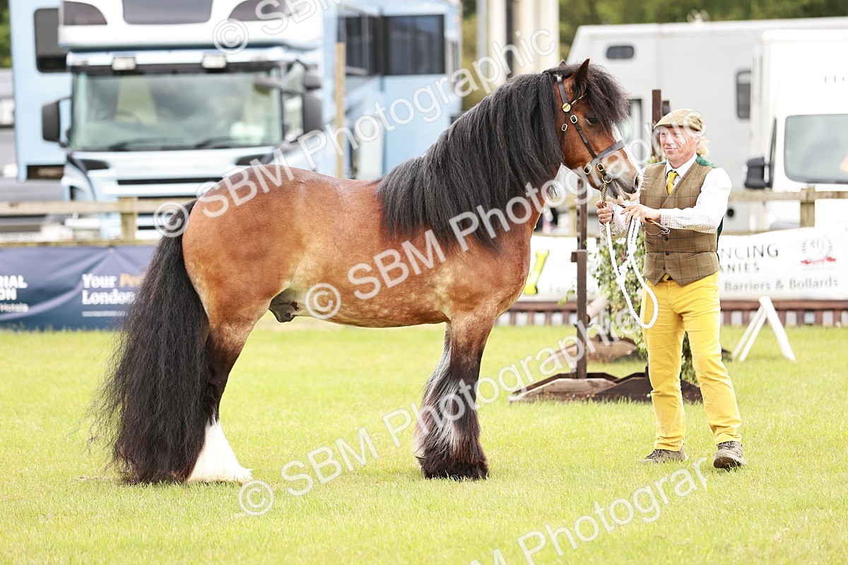 SBM_06020 - Class 39-41 TGCA In Hand and Ridden