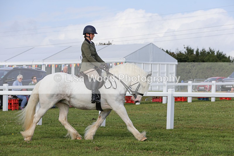 1X9A3193 - Class 28: Ridden Native/Trad Coloured Pony