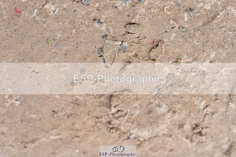 230712-124934-23207 - Cls 60 1.15m Open