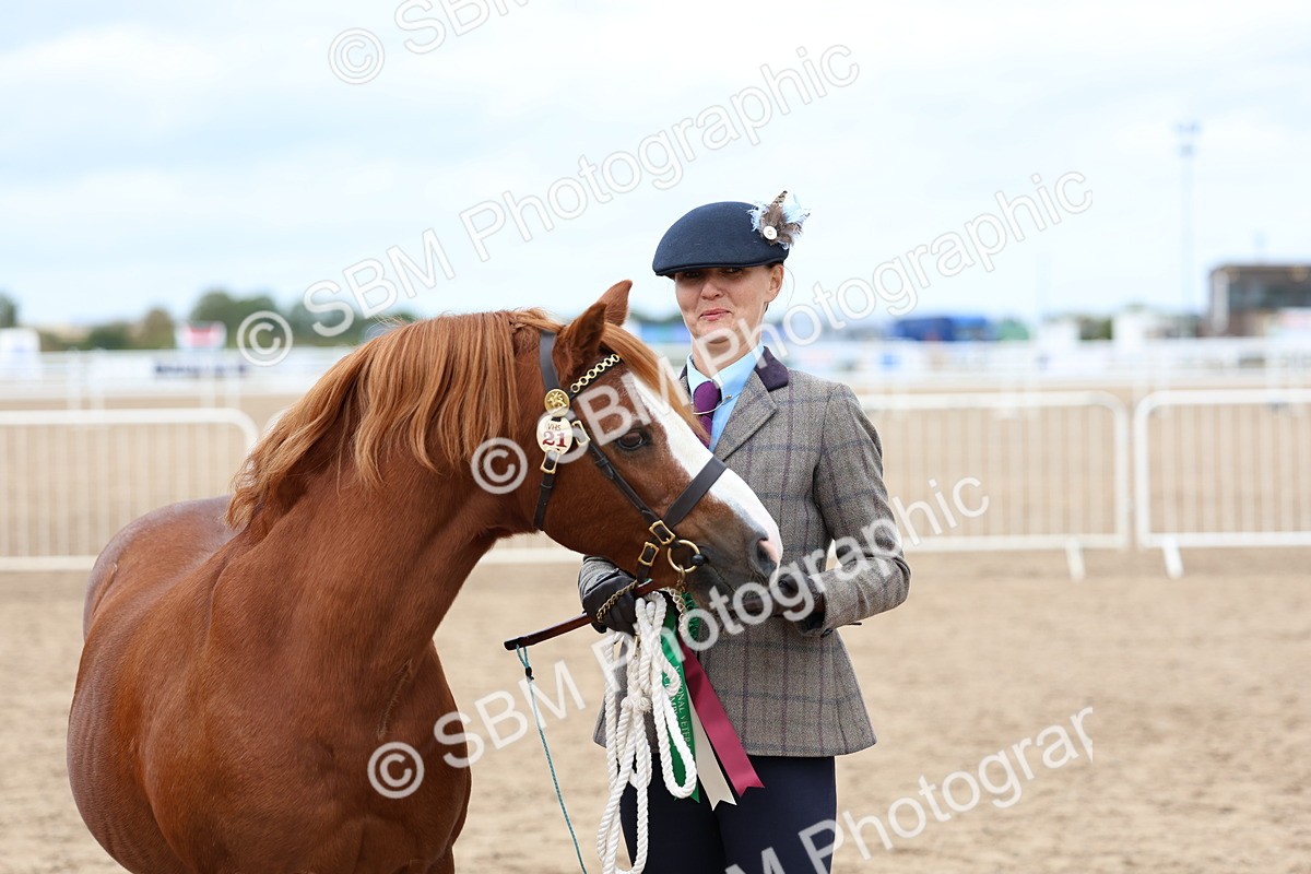 SBM_05987 - Class 29 - IH Veteran Pony